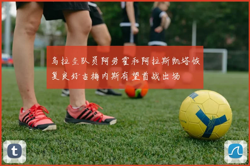 乌拉圭队员阿劳霍和阿拉斯凯塔恢复良好吉梅内斯有望首战出场